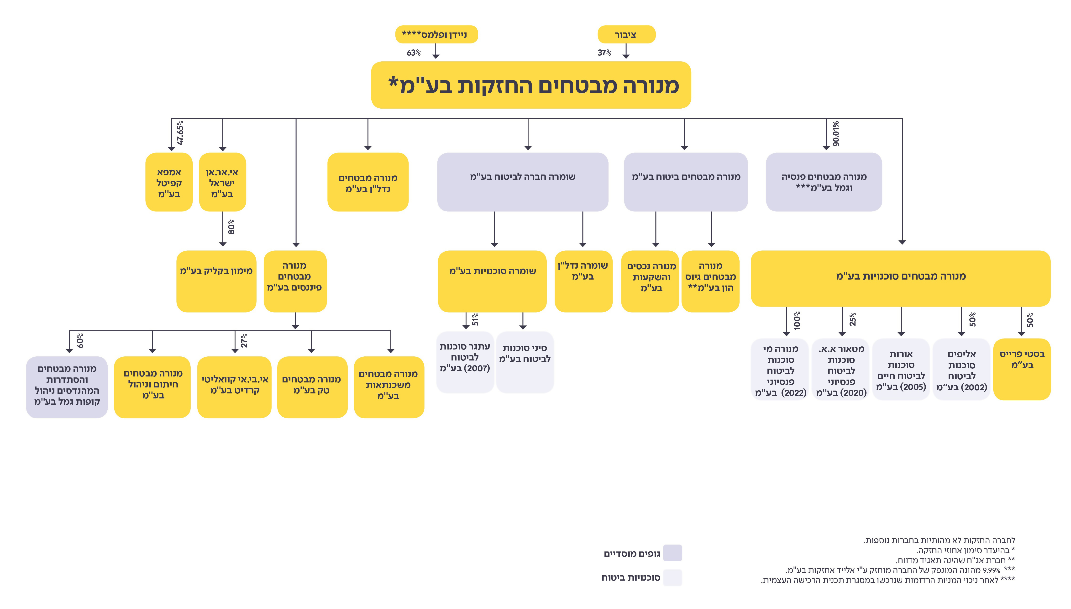 תרשים מבנה החזקות הקבוצה