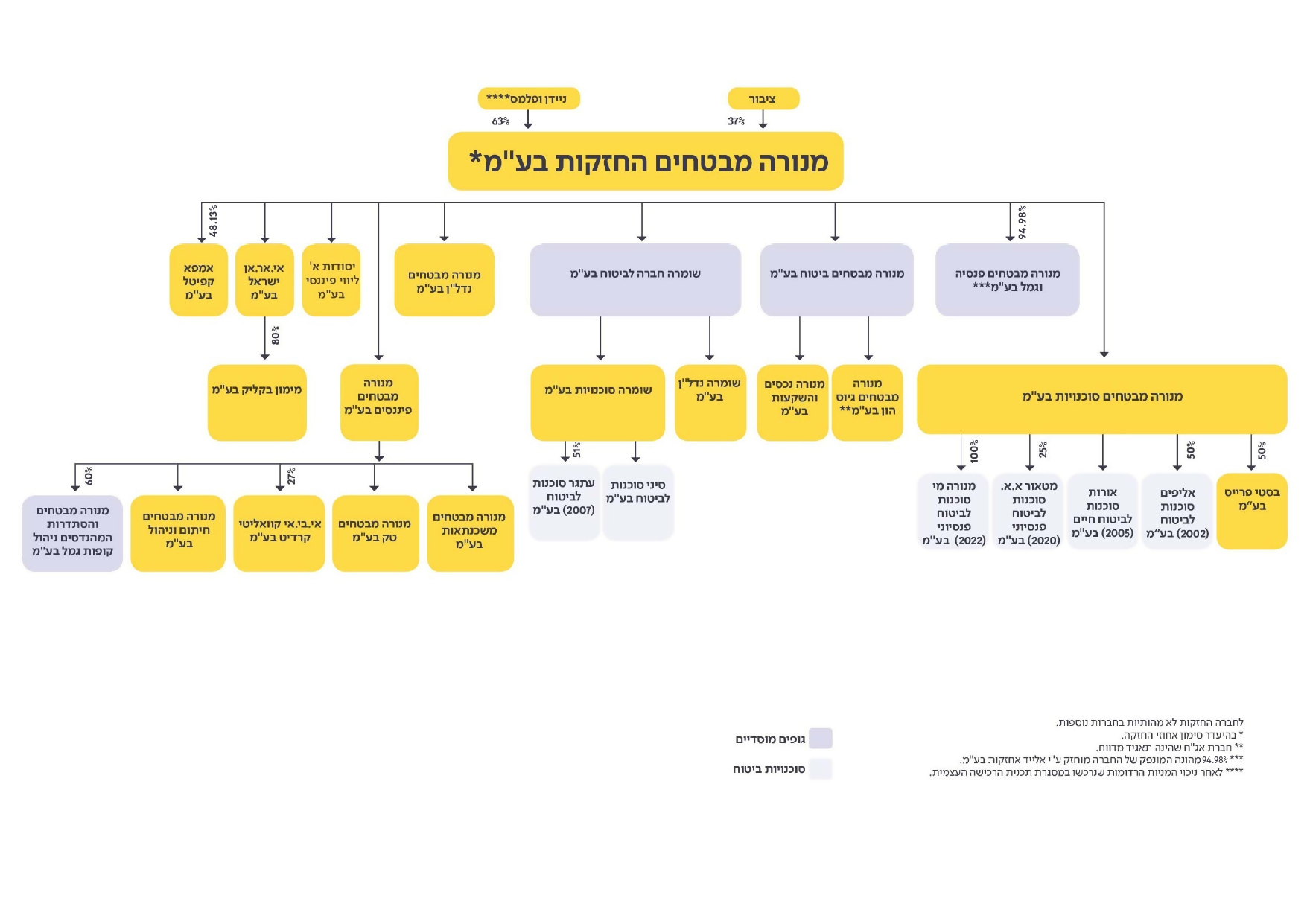 תרשים מבנה החזקות הקבוצה